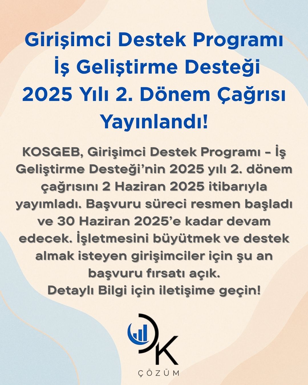 Girişimci destek (görsel)