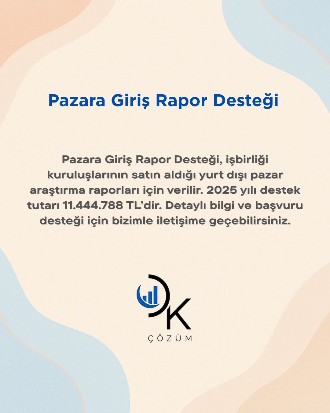 KAPAK Pazara Giriş Rapor Desteği