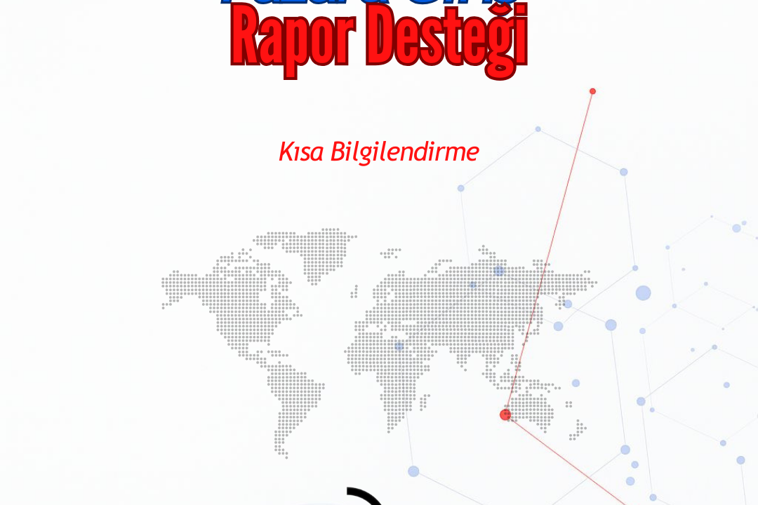 Pazara Giriş Projesi Rapor Hazırlama Desteği