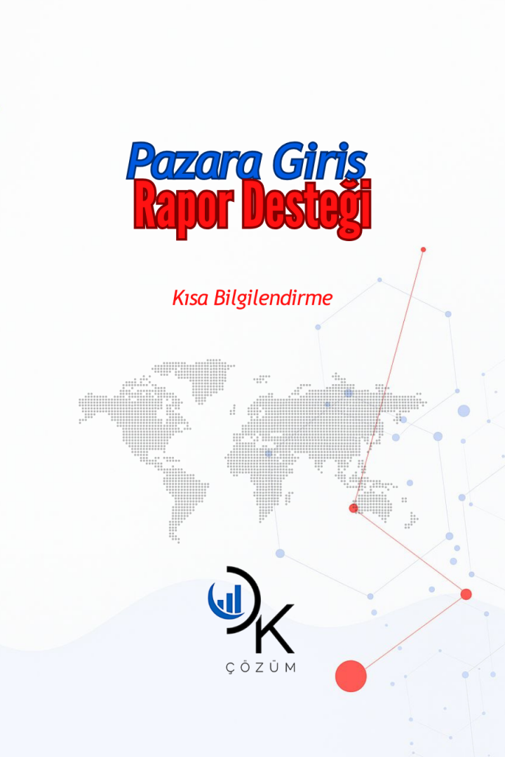 Pazara Giriş Projesi Rapor Hazırlama Desteği