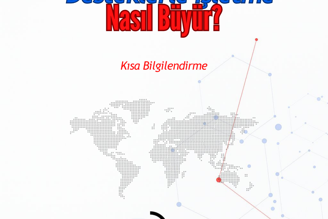 Desteklerle İşletmeler Nasıl Büyür?