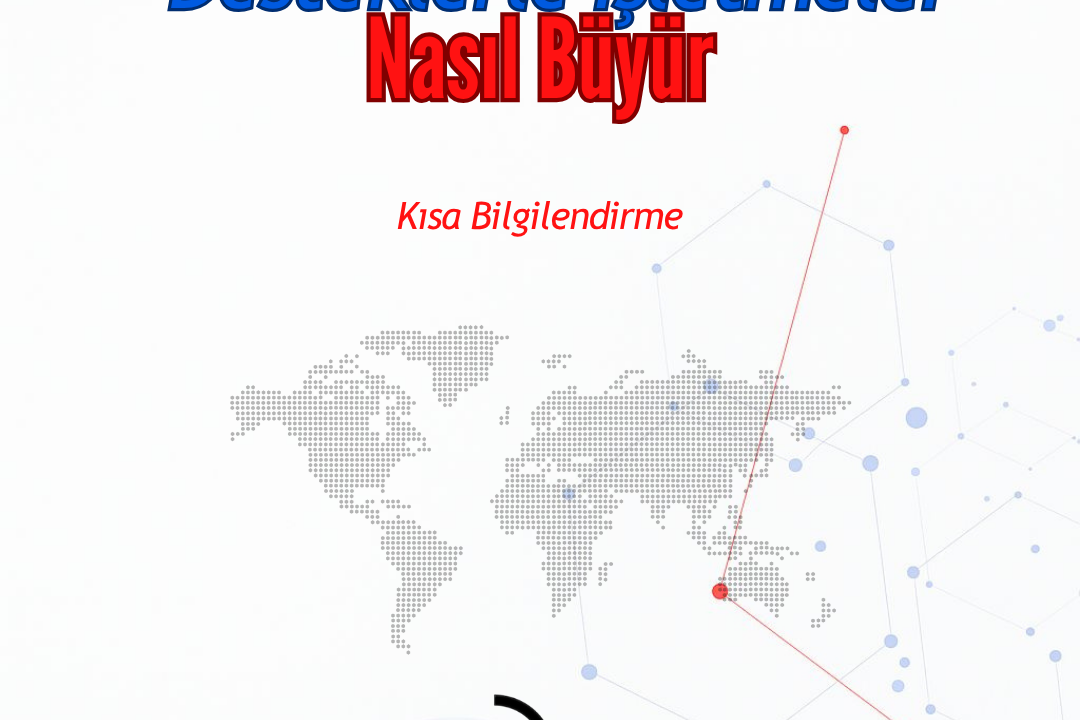 Destekler Sayesinde İşletmeler Nasıl Büyür?