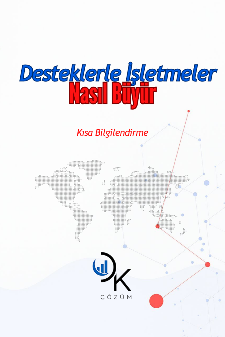Destekler Sayesinde İşletmeler Nasıl Büyür?